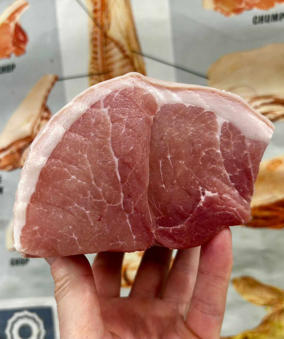 Gammon Joints