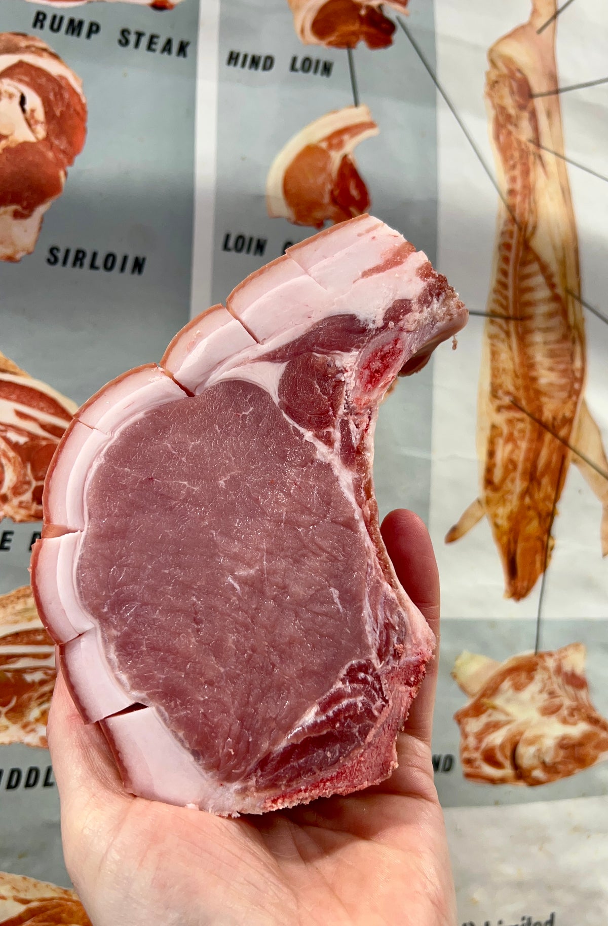 Pork Chops
